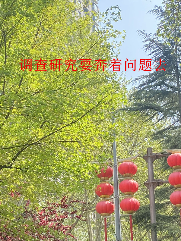 QQ图片20230408225331_副本.jpg
